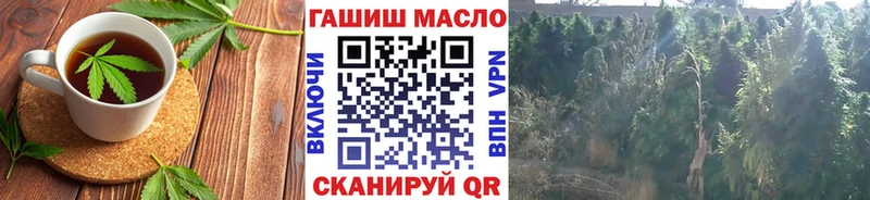 Cannafood конопля  Купить закладки  Артём 