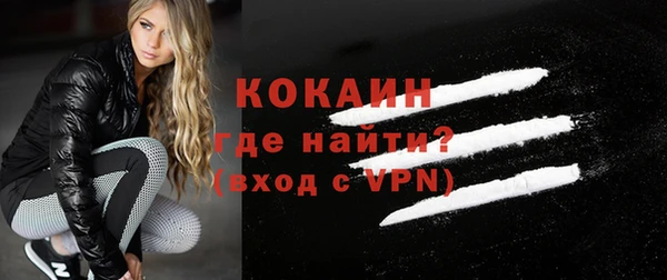 apvp Ельня