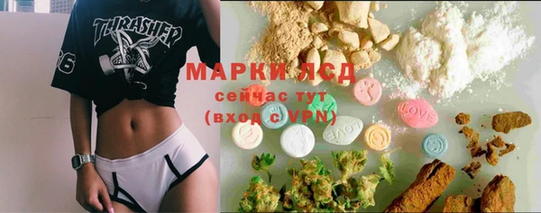 a pvp Дмитриев