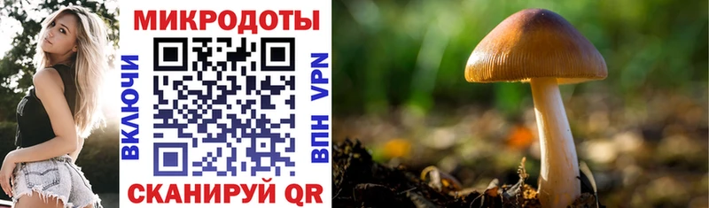Псилоцибиновые грибы ЛСД  Купить закладки  Артём 